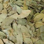 2.Bay leaves Ấn Độ