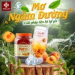 1.Mơ Ngâm Hồng lam