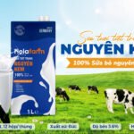 0 sữa béo holafarm