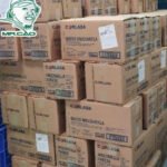 5.Corlasa thùng và kho hàng 1