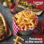 1 crinkle frenchfrites