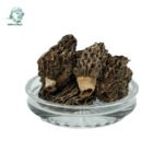 2 nấm Morel