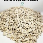 5 hạt hướng dương