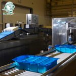 5.Mozza Milcobel khối 10kg nhà máy