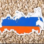 6 nhân hướng dương Nga