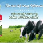 6 sữa béo vol milch